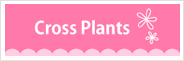 Cross Plants(クロスプランツ) ショッピングサイト