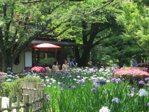 日本庭園茶室