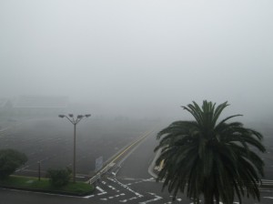 海からの霧 駐車場２